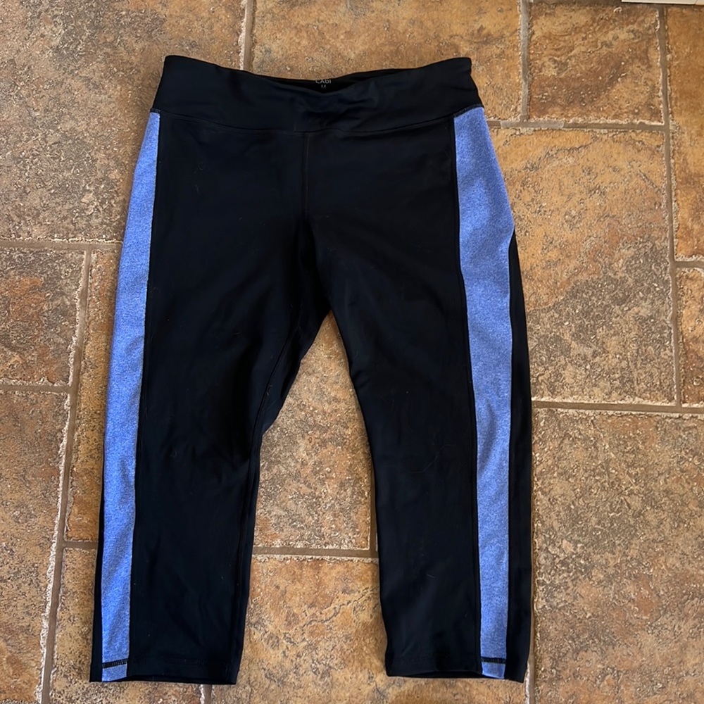 Cabi Tech Pant